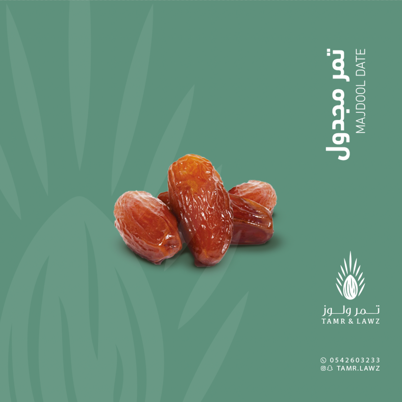 تصميم ترويجي للتمور