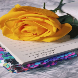 الصورة الرمزية