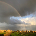 صورة رمزية