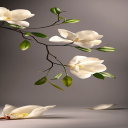 صورة رمزية