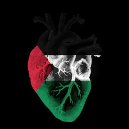Ahmed.M