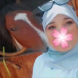 الصورة الرمزية ل Mi. Sam Mi.