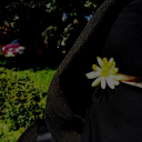 صورة رمزية