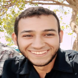 الصورة الرمزية ل Ahmed Atef AbuGhadeer