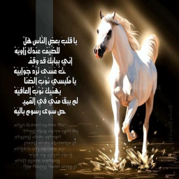الصورة الرمزية ل تركي عبدالعزيز الكحيلي