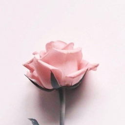 Maram.M
