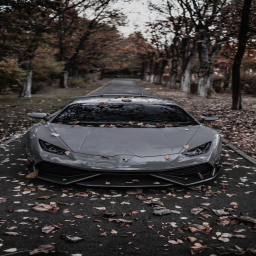 صورة رمزية