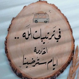 الصورة الرمزية ل Abrar Naji Babash