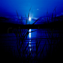 نور.ا